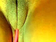 Sexystacy7s muskulöser Körperbau und beeindruckende Cameltoes werden in einem Masturbationsvideo gezeigt