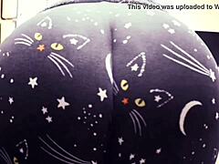 बिल्ली पैंट में बड़े लूट माताओं उनके सेक्सी वक्र दिखावा
